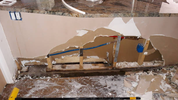 Best Water damage cleanup near me  in Enon, OH