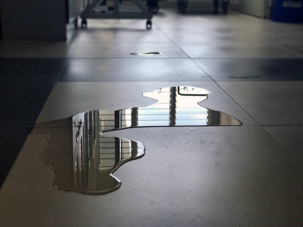 Best Professional water damage repair  in Enon, OH