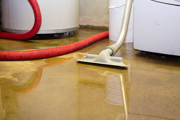 Best Residential water damage restoration  in Enon, OH