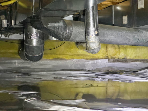 Best Mold removal after water damage  in Enon, OH