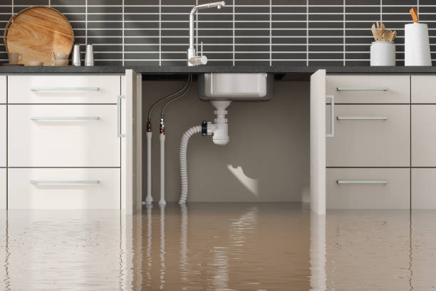 Best Fire Damage Restoration  in Enon, OH